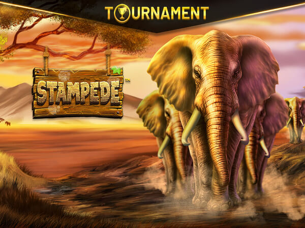 Jogo sugar rush